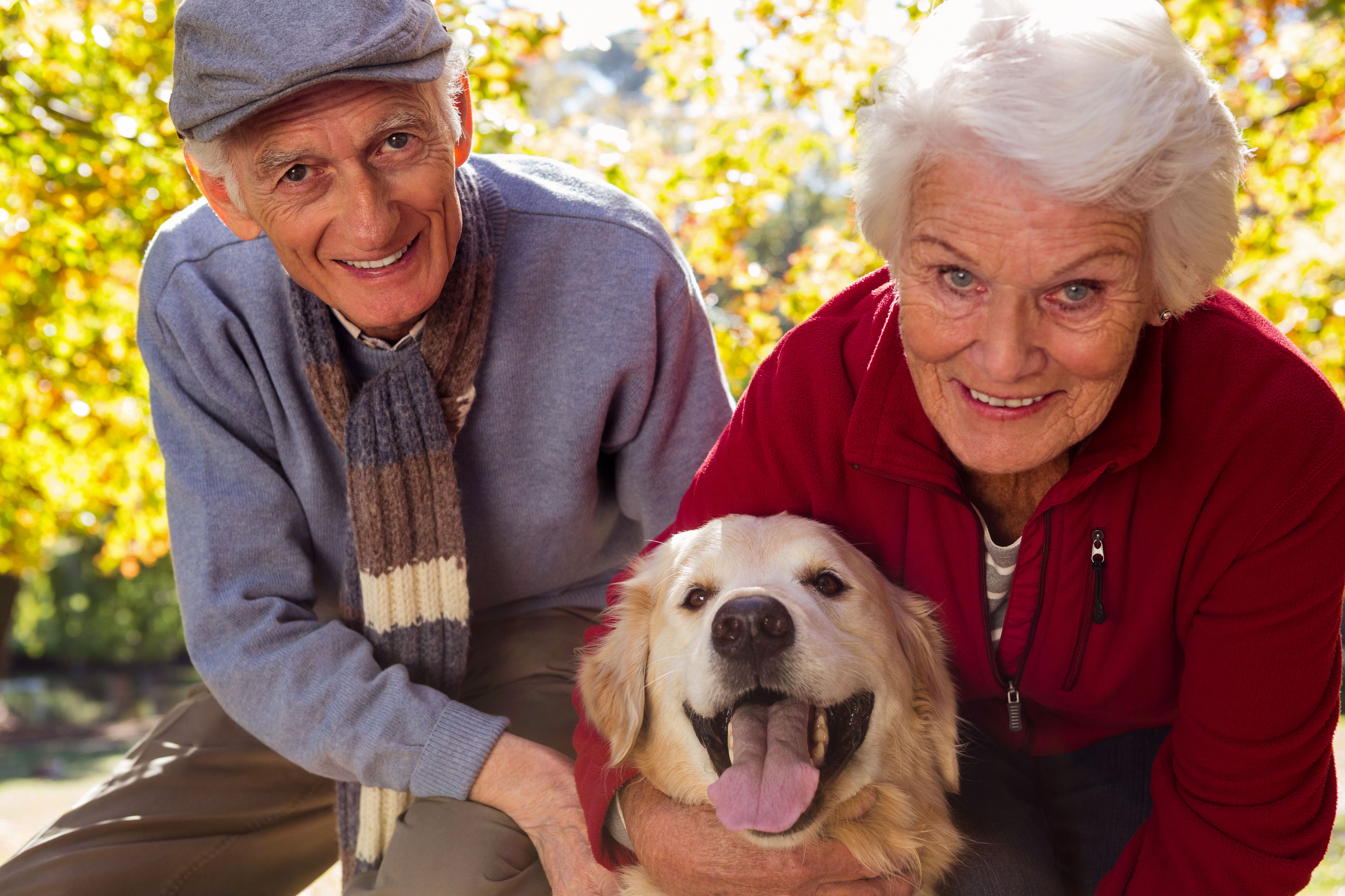 Two seniors with dog outside in autumn